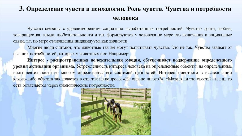 3. Определение чувств в психологии. Роль чувств. Чувства и потребности человека