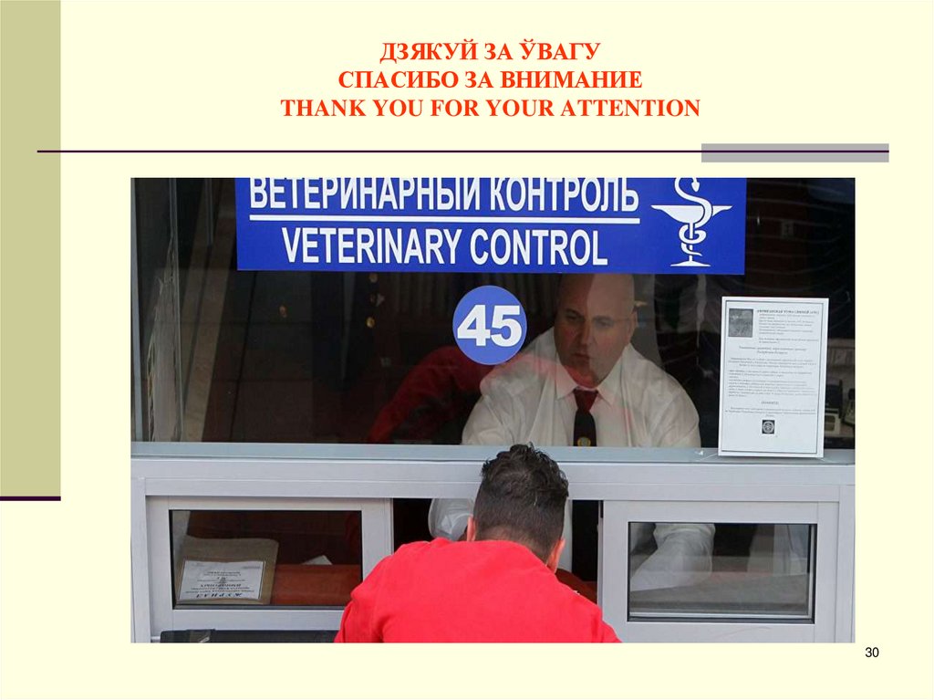 ДЗЯКУЙ ЗА ЎВАГУ СПАСИБО ЗА ВНИМАНИЕ THANK YOU FOR YOUR ATTENTION
