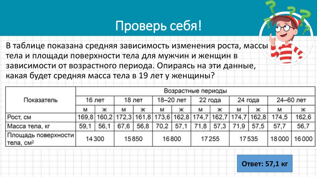 Проверь себя!