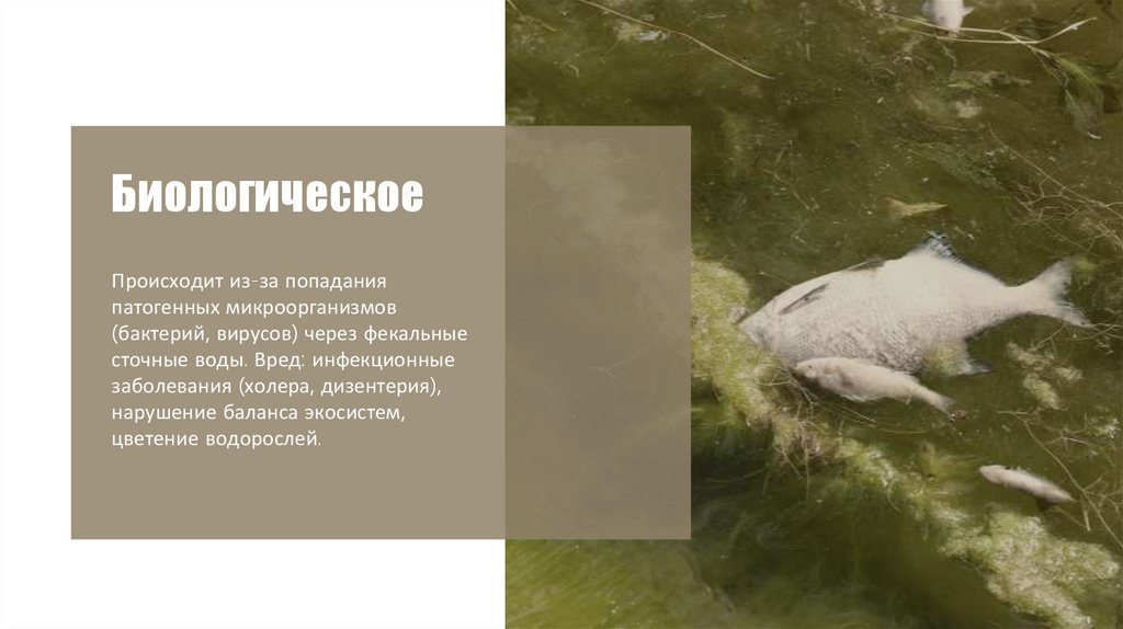 Биологическое