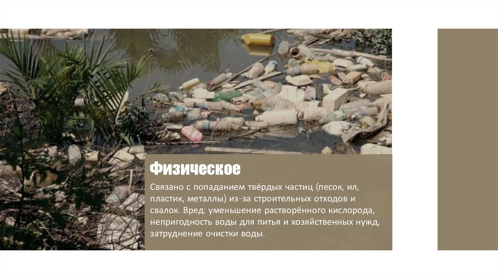 Физическое