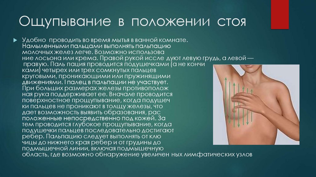 Ощупывание  в  положении  стоя