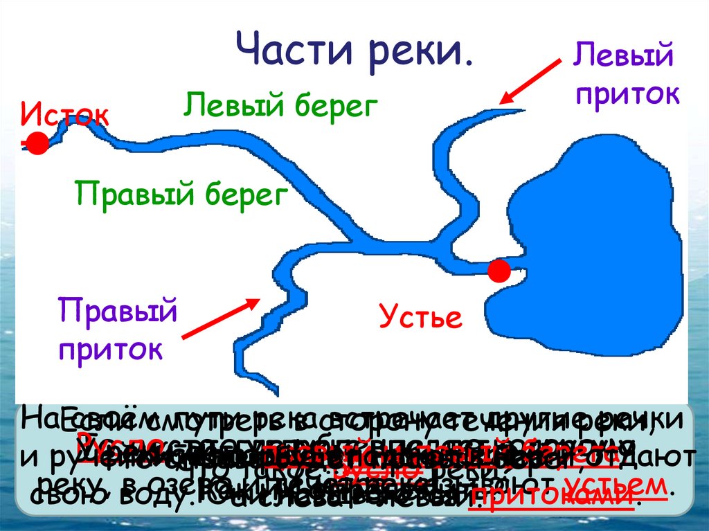 Части реки.