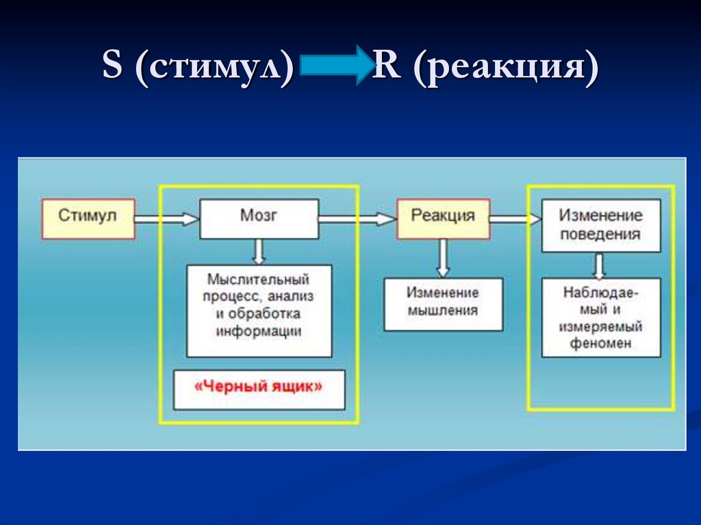 S (стимул) R (реакция)