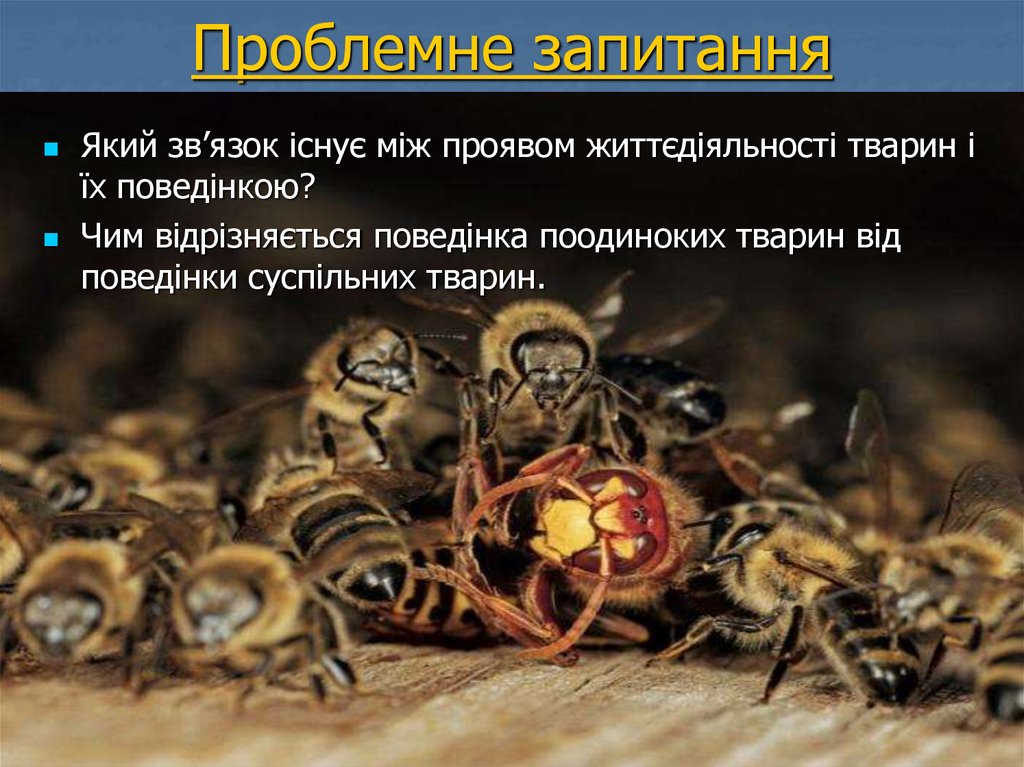 Проблемне запитання