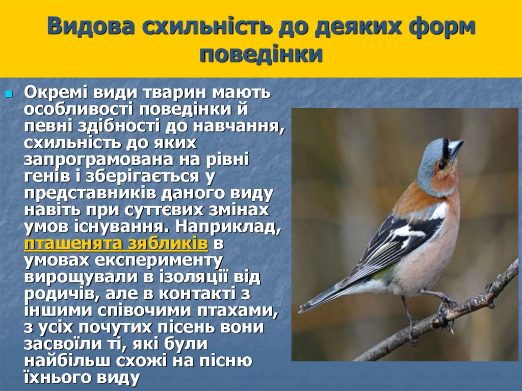 Видова схильність до деяких форм поведінки