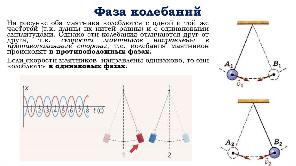 Фаза колебаний