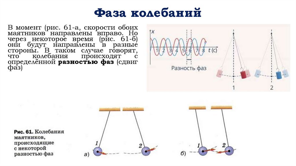 Фаза колебаний
