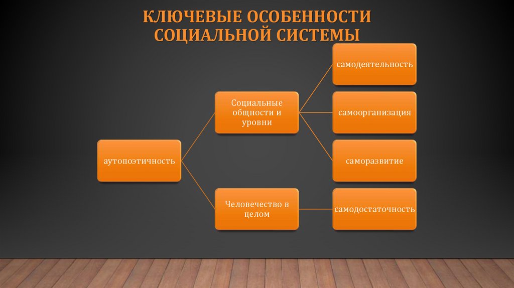 Ключевые особенности социальной системы