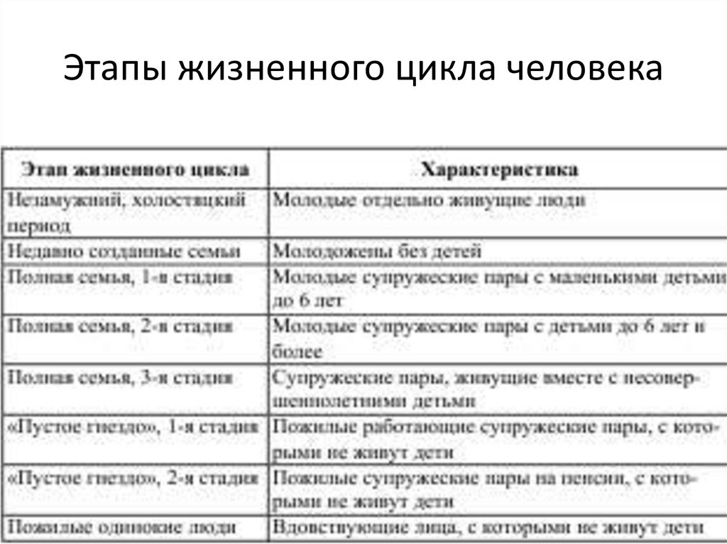 Этапы жизненного цикла человека