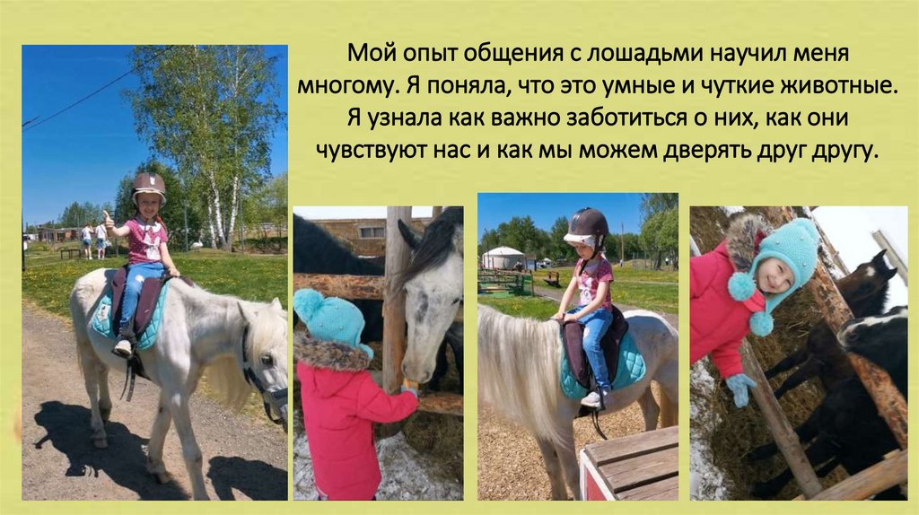 Мой опыт общения с лошадьми научил меня многому. Я поняла, что это умные и чуткие животные. Я узнала как важно заботиться о
