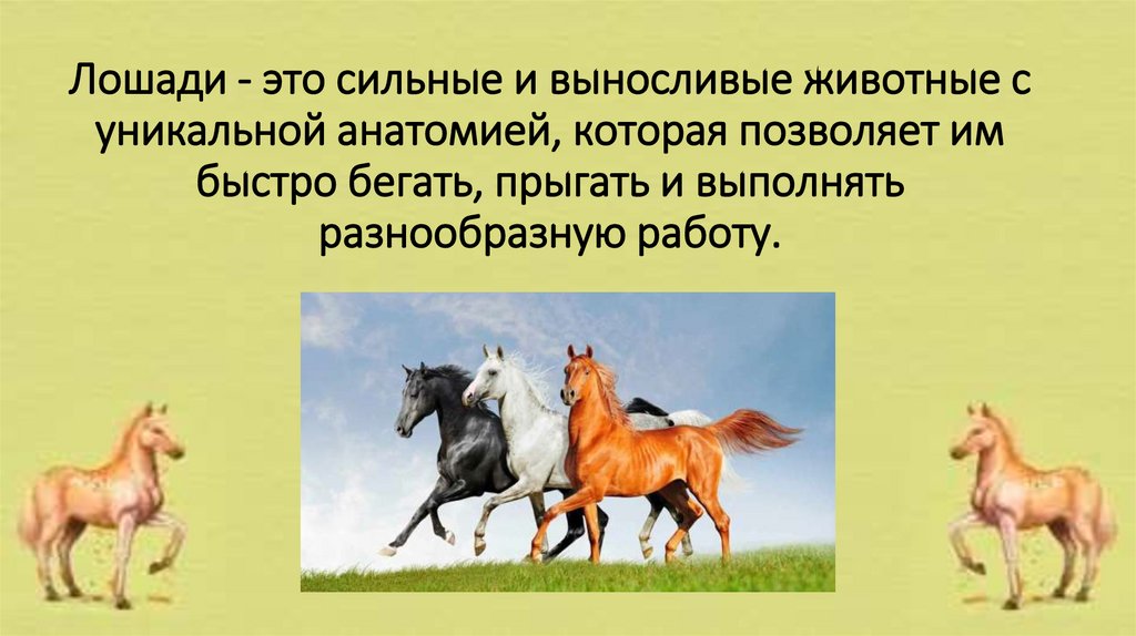 Лошади - это сильные и выносливые животные с уникальной анатомией, которая позволяет им быстро бегать, прыгать и выполнять