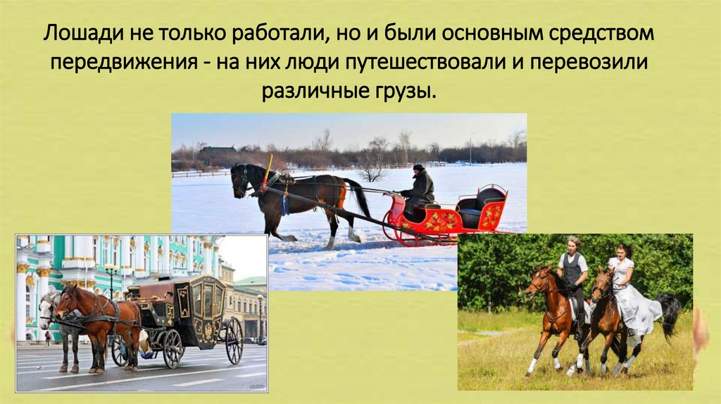 Лошади не только работали, но и были основным средством передвижения - на них люди путешествовали и перевозили различные грузы.