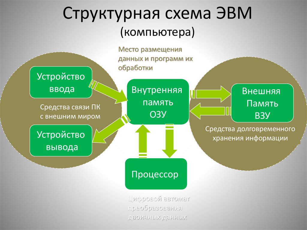 Структурная схема ЭВМ (компьютера)