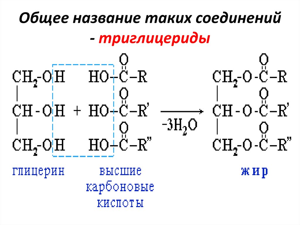 Общее название таких соединений - триглицериды