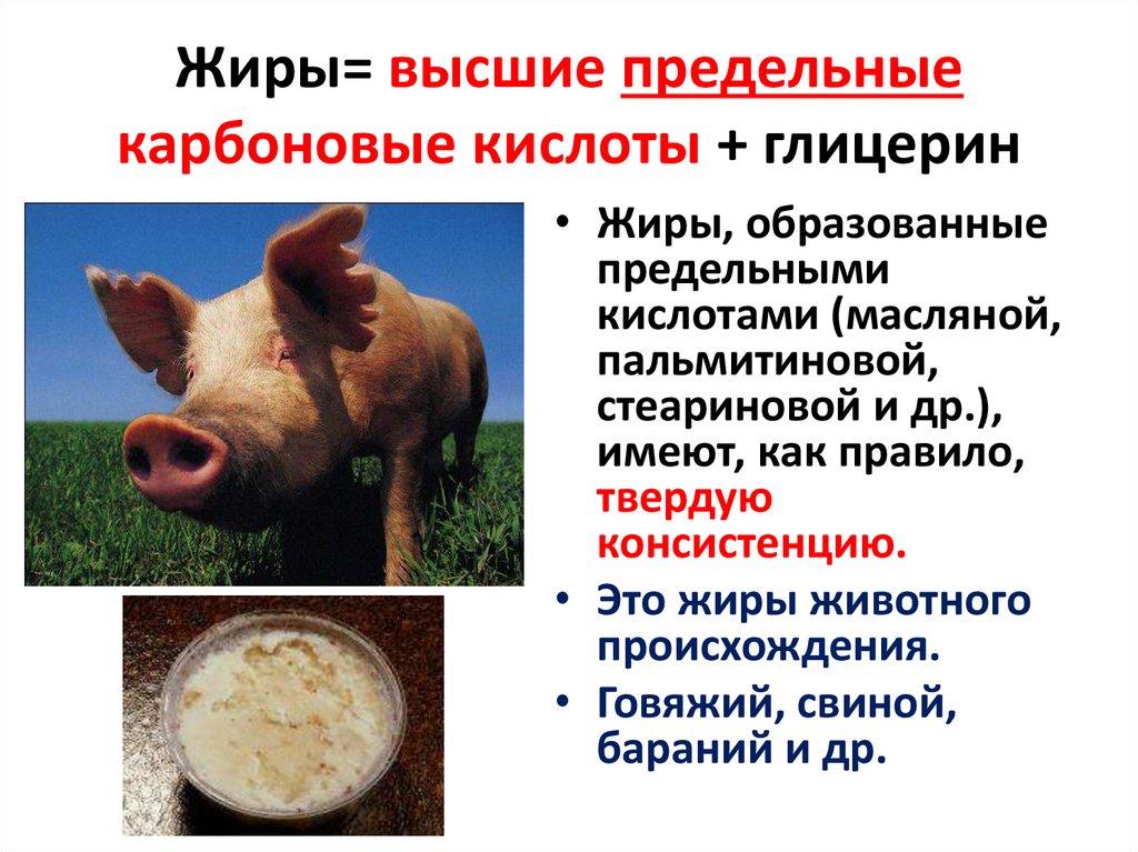 Жиры= высшие предельные карбоновые кислоты + глицерин