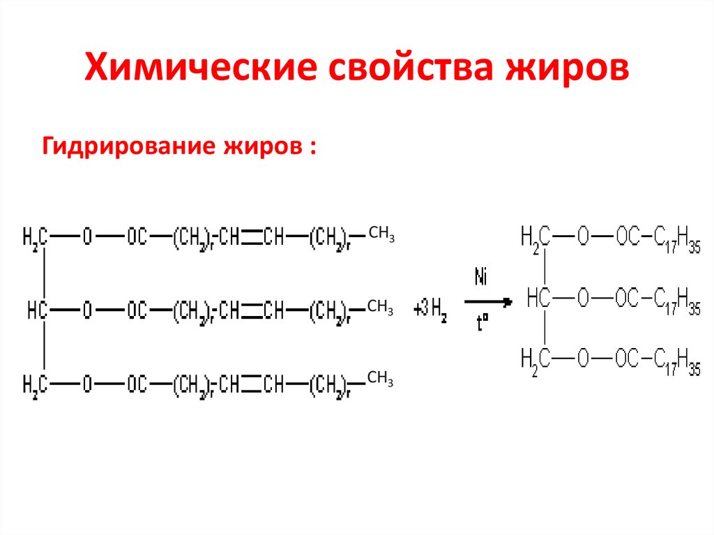 Химические свойства жиров