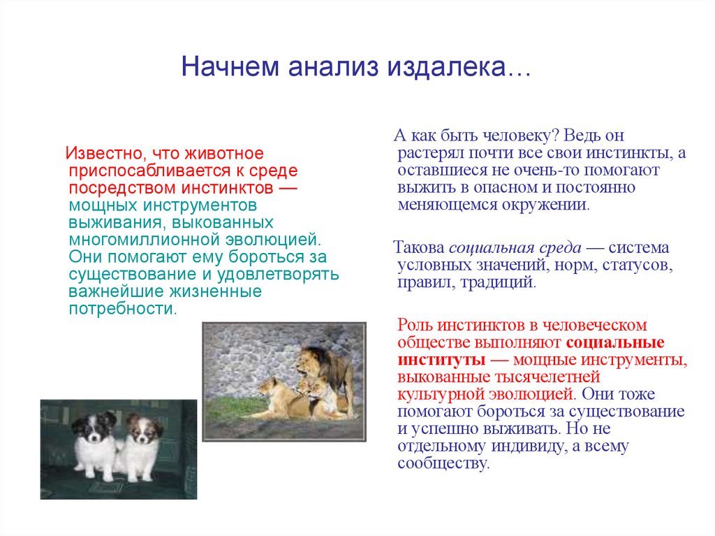 Начнем анализ издалека…