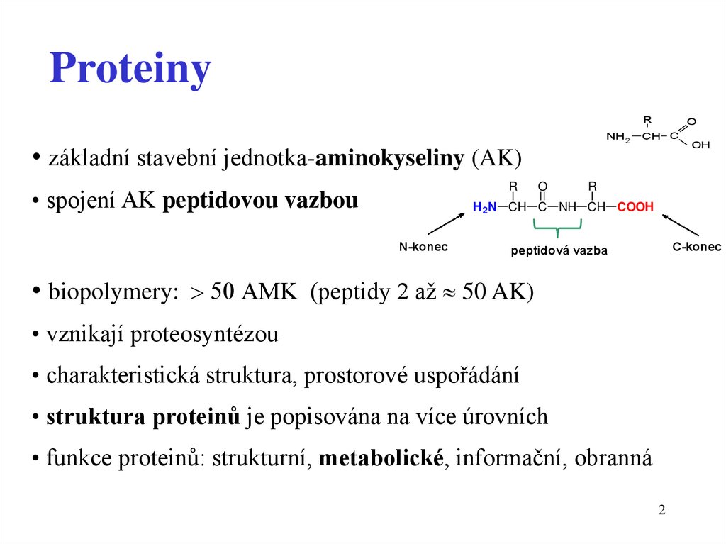 Proteiny