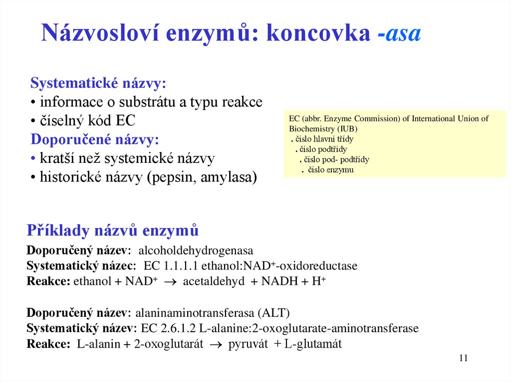 Příklady názvů enzymů