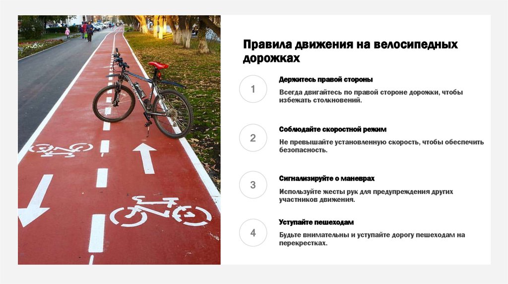 Правила движения на велосипедных дорожках