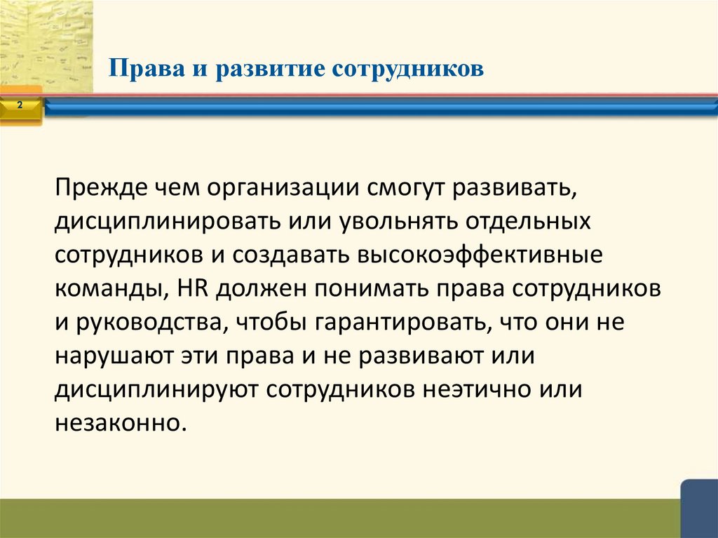 Права и развитие сотрудников