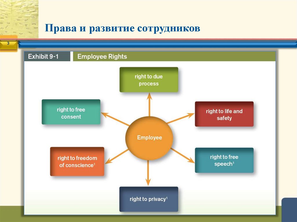 Права и развитие сотрудников