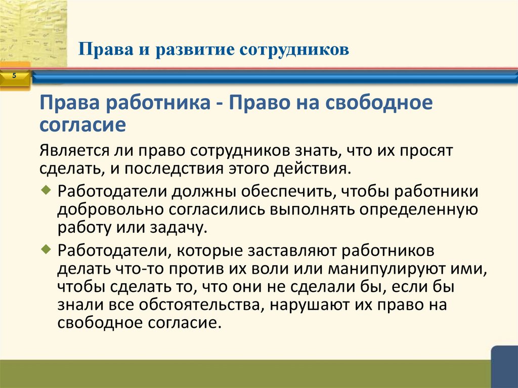 Права и развитие сотрудников