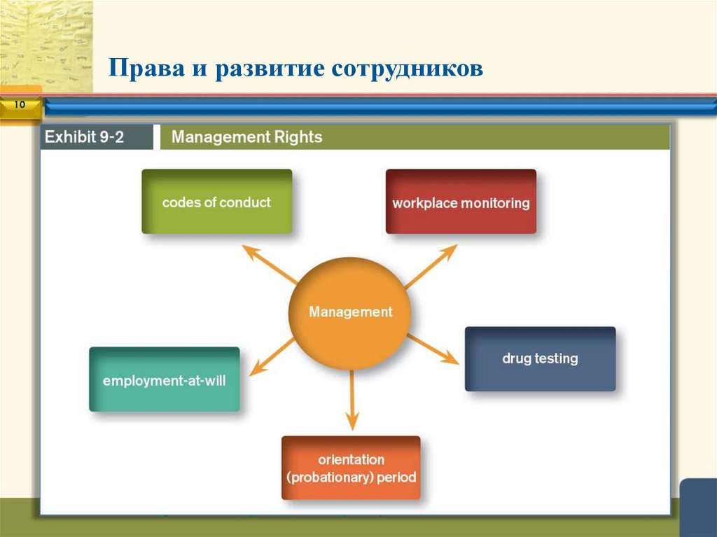 Права и развитие сотрудников