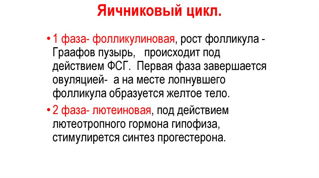 Яичниковый цикл.