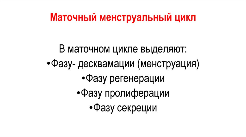 Маточный менструальный цикл