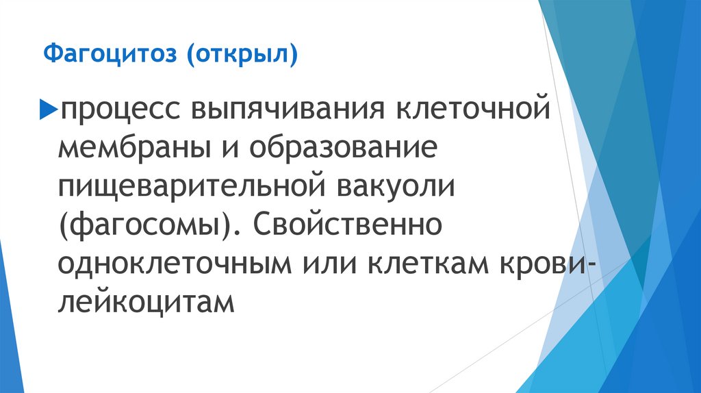 Фагоцитоз (открыл)