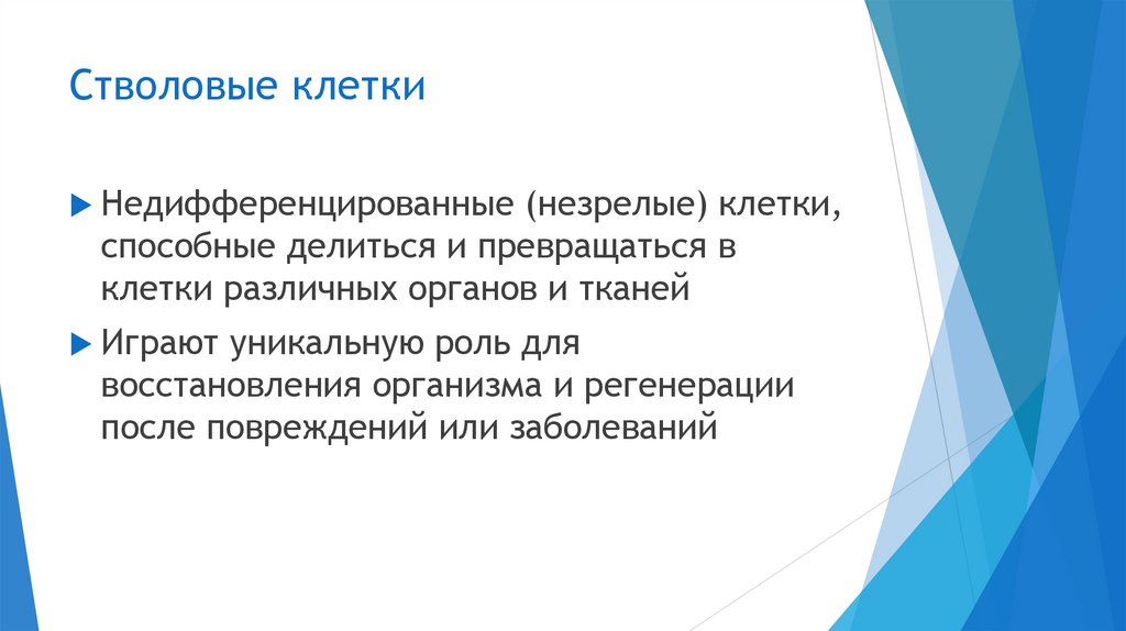 Стволовые клетки