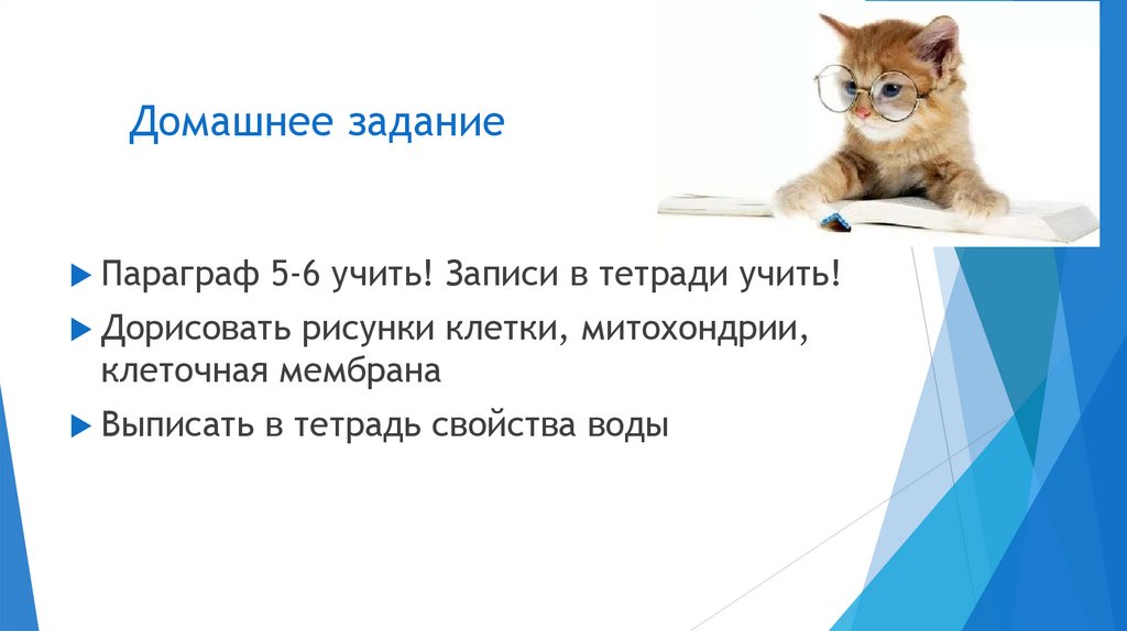 Домашнее задание