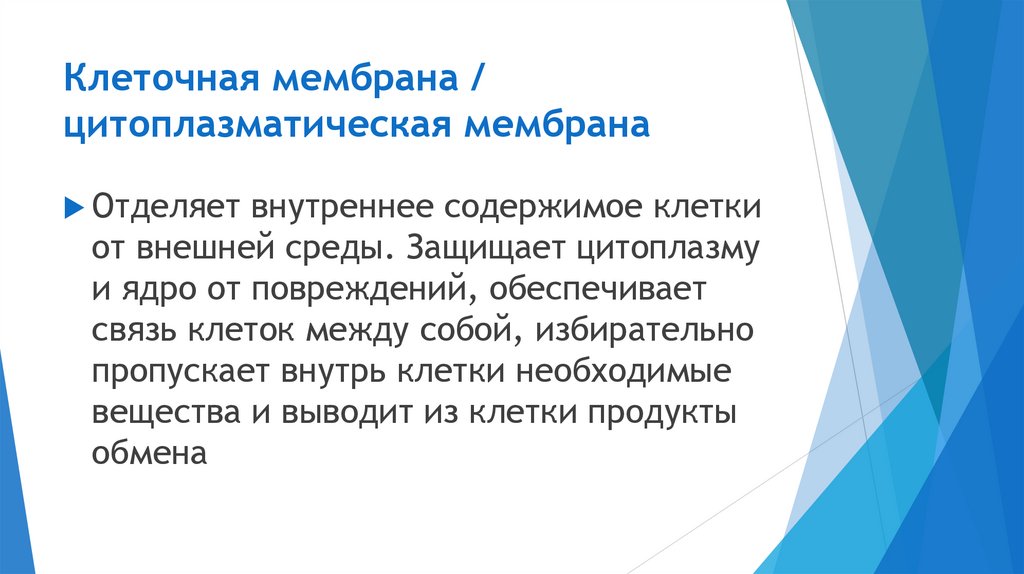 Клеточная мембрана / цитоплазматическая мембрана