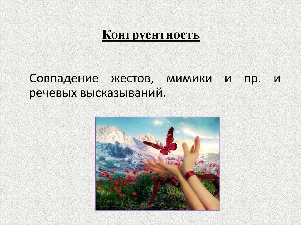 Конгруентность