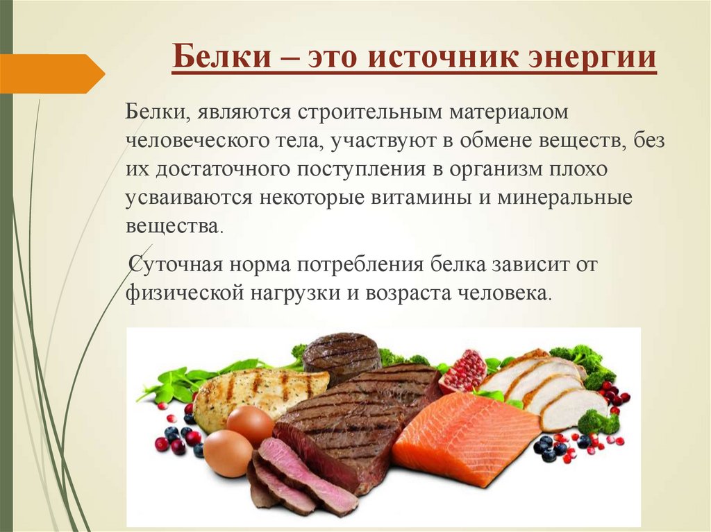 Белки – это источник энергии