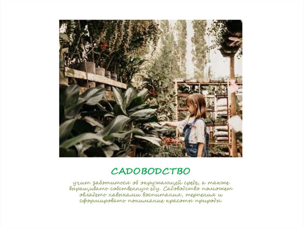 САДОВОДСТВО