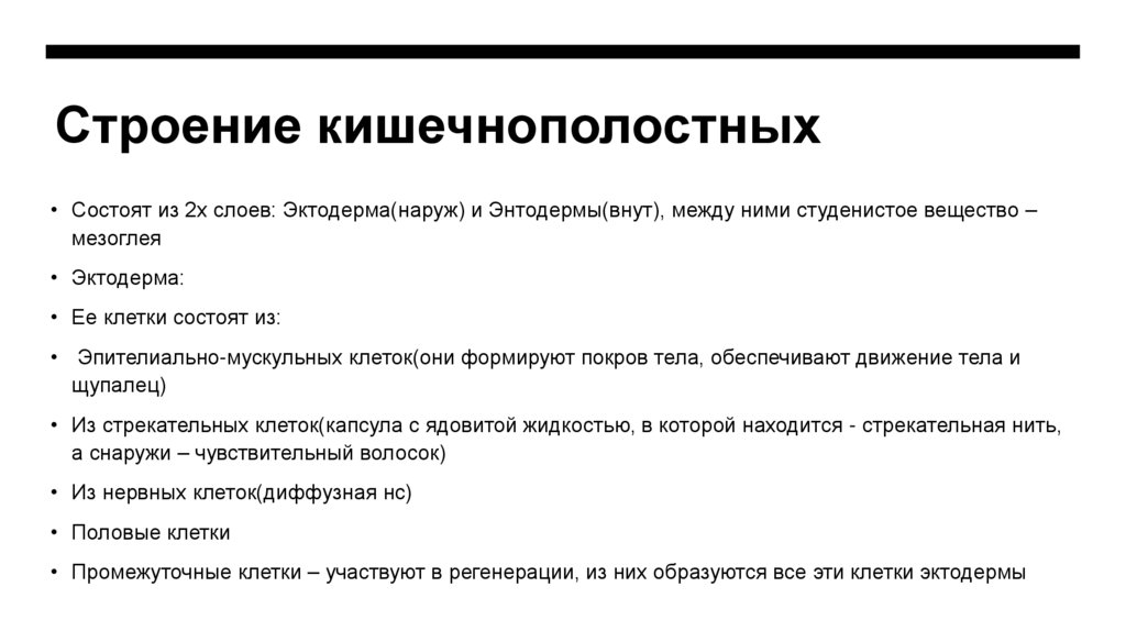 Строение кишечнополостных