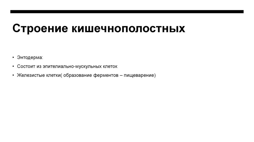 Строение кишечнополостных