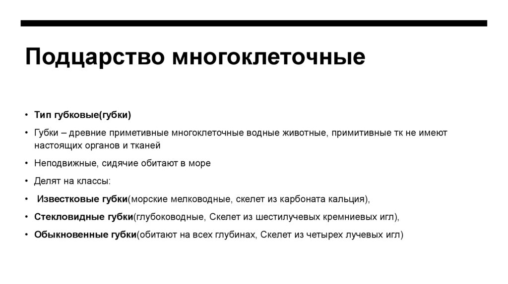 Подцарство многоклеточные