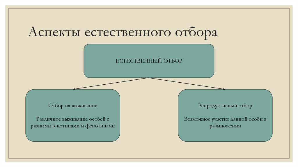 Аспекты естественного отбора