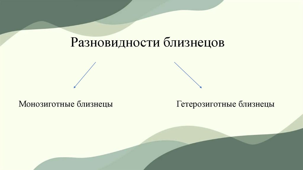 Разновидности близнецов