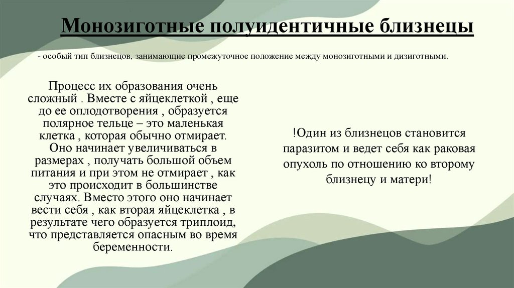 Монозиготные полуидентичные близнецы