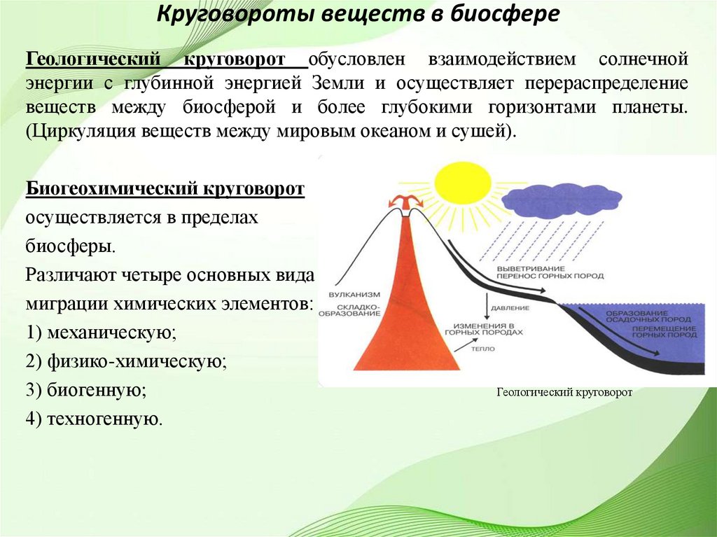 Круговороты веществ в биосфере