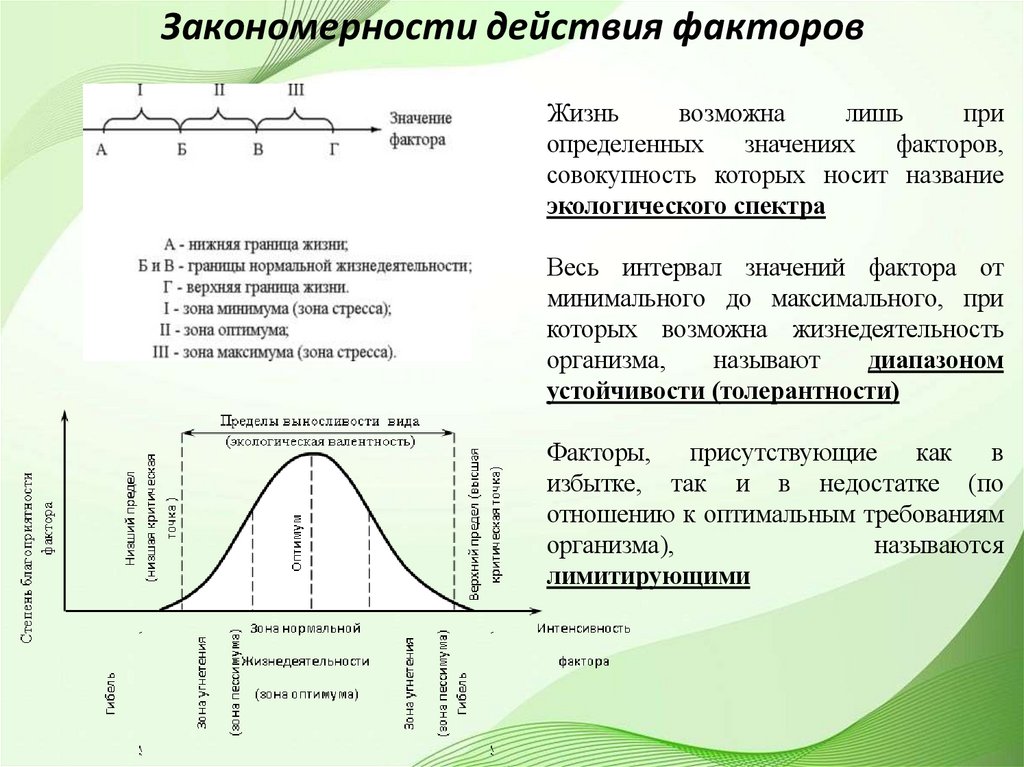 Закономерности действия факторов
