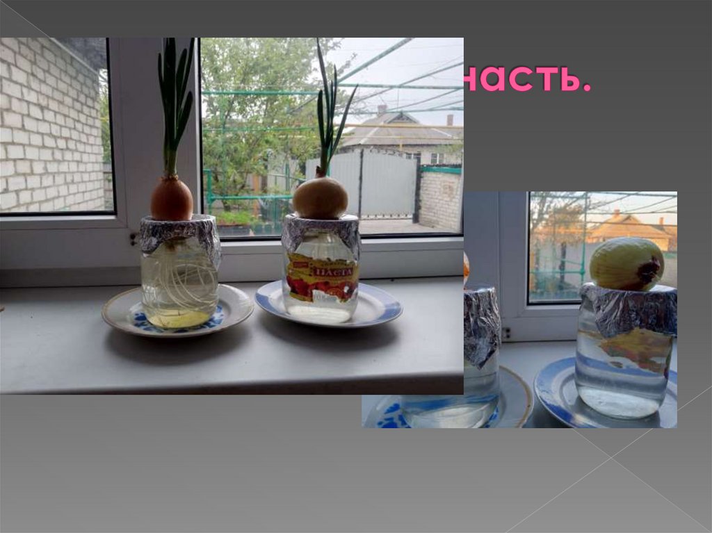 2. Практическая часть.