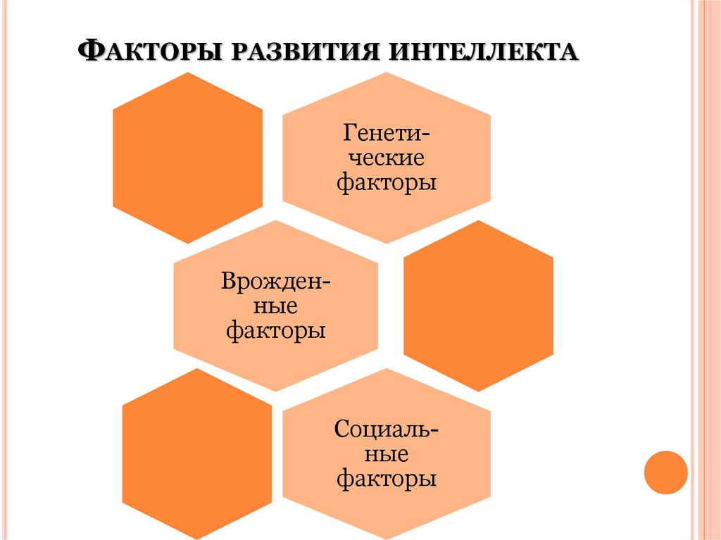 Факторы развития интеллекта