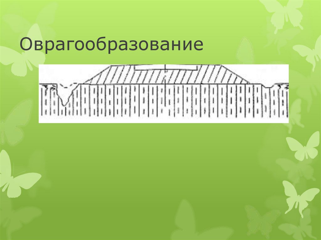 Оврагообразование