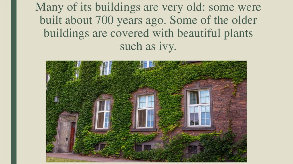 Many of its buildings are very old: some were built about 700 years ago. Some of the older buildings are covered with beautiful